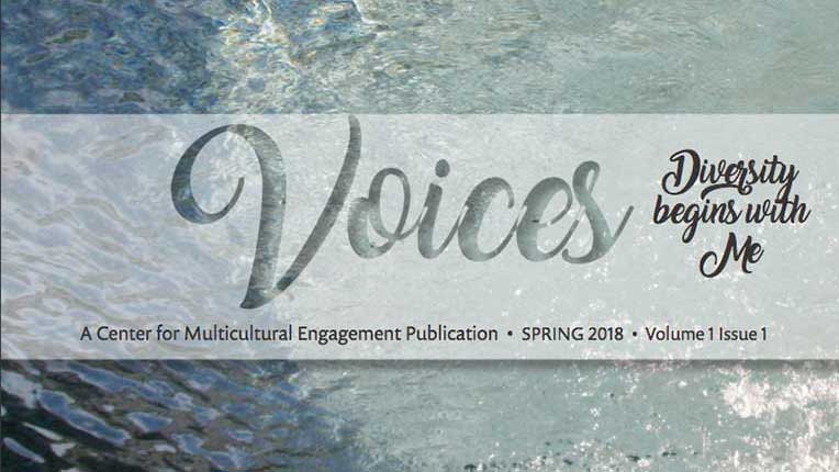 Current Voices issue