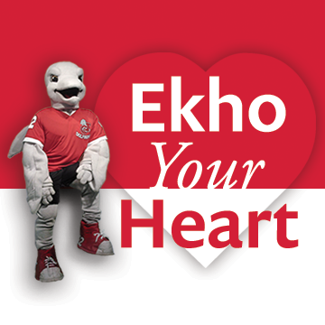 Visit the Ekho Your Heart page