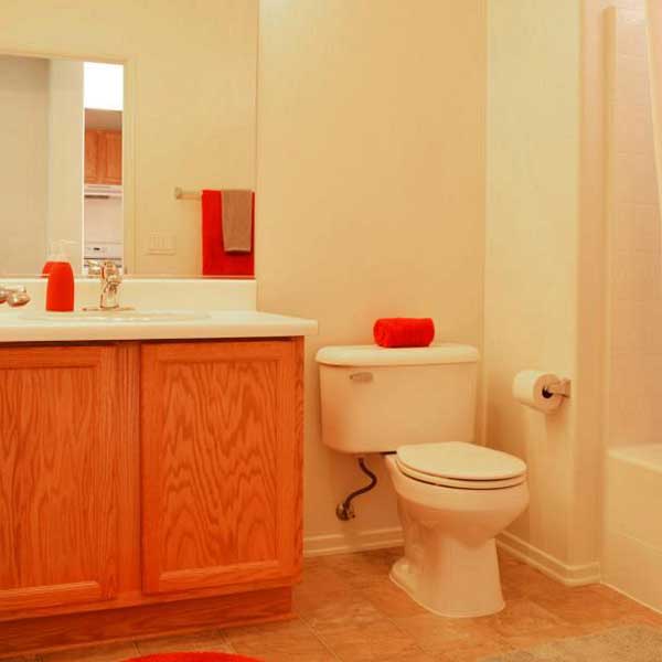 Town Center Bathroom - Example 1