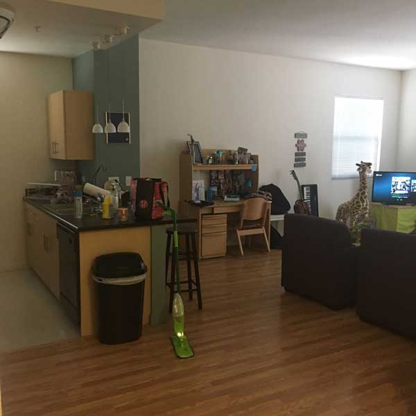One-Bedroom Kitchen & Living Room View