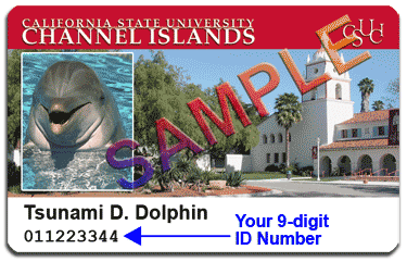 Example of a CSUCI ID card with photo, name and ID number