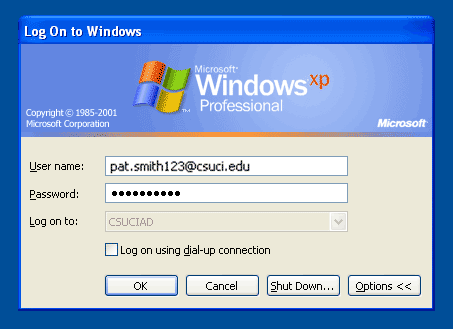 Windows logon prompt, with User name field and Password fields filled in with example text.