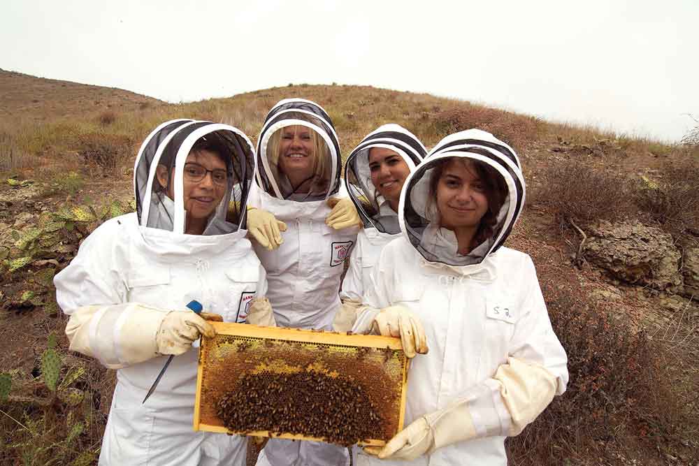 Michelle Mendoza, President Erika Beck, Shirley Williams, and Jazmin Horvet are outfitted with protective suits for handling bee hives.