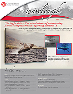 Wavelength Newsletter January 27, 2011