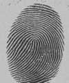 Finger Print