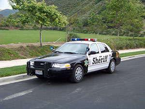 K9