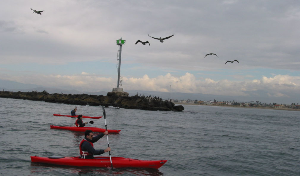 Students kayaking along the coast outside Channel Islands Harbor