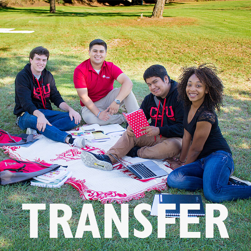 Transfer Apply 