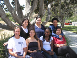 Students sitting under trees near university glen