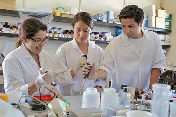 MS in Biotechnology and Bioinformatics