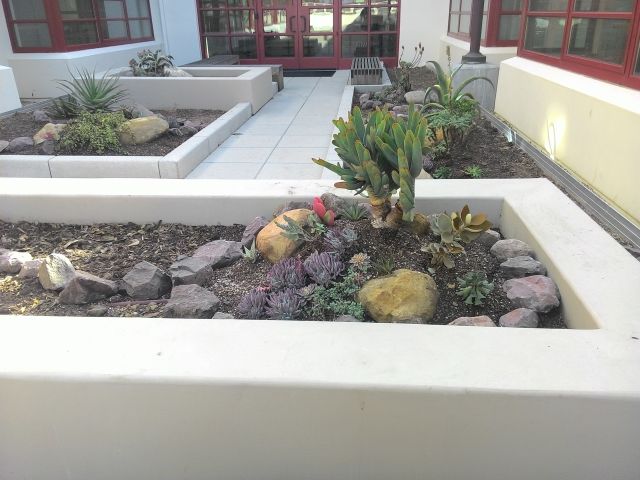 plant patterns