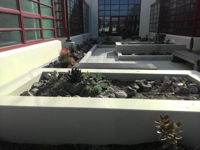 sierra hall garden