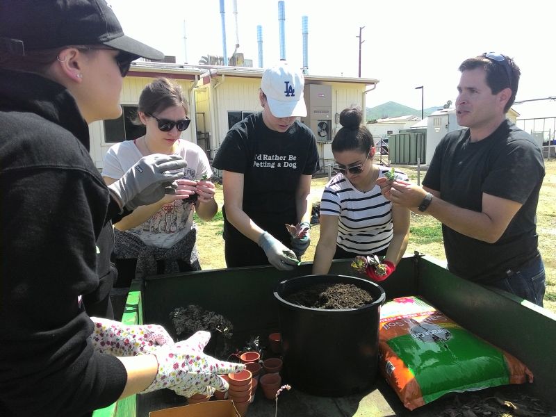 students planting