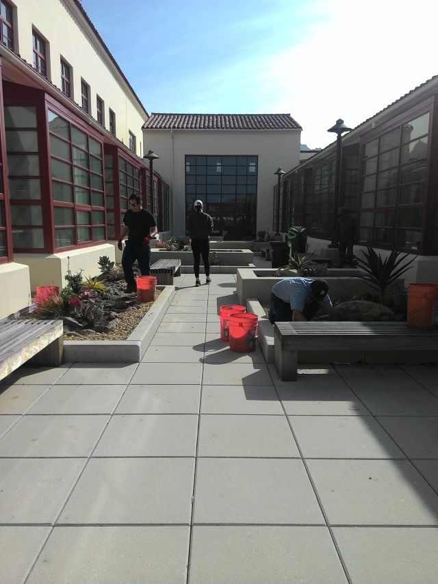 students planting