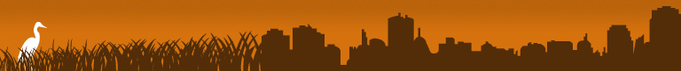 ESRM banner