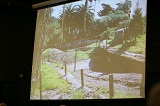 Photograph of Cats of Africa exhibit during construction.