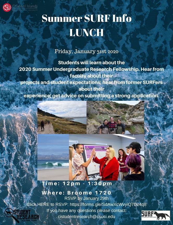SURF Information Lunch
