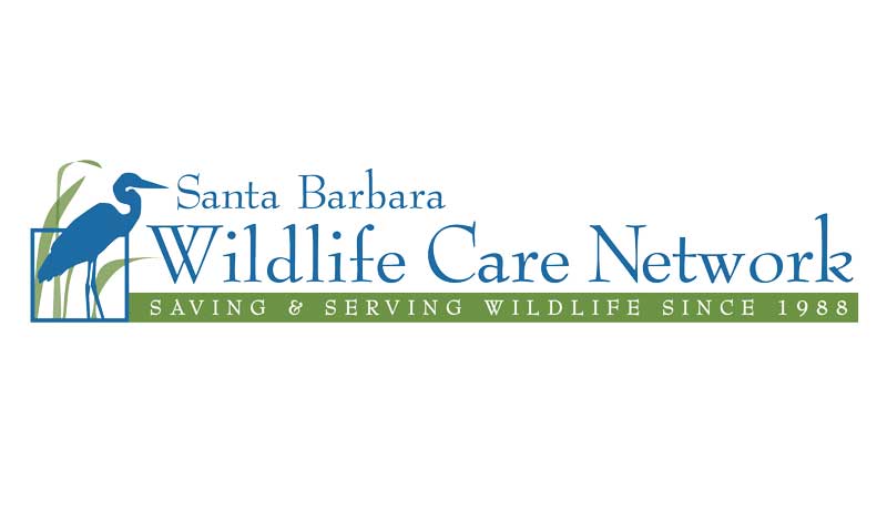Logo of Santa Barbara Wildlife Care Network