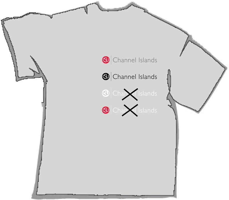 Light grey shirt with logo examples