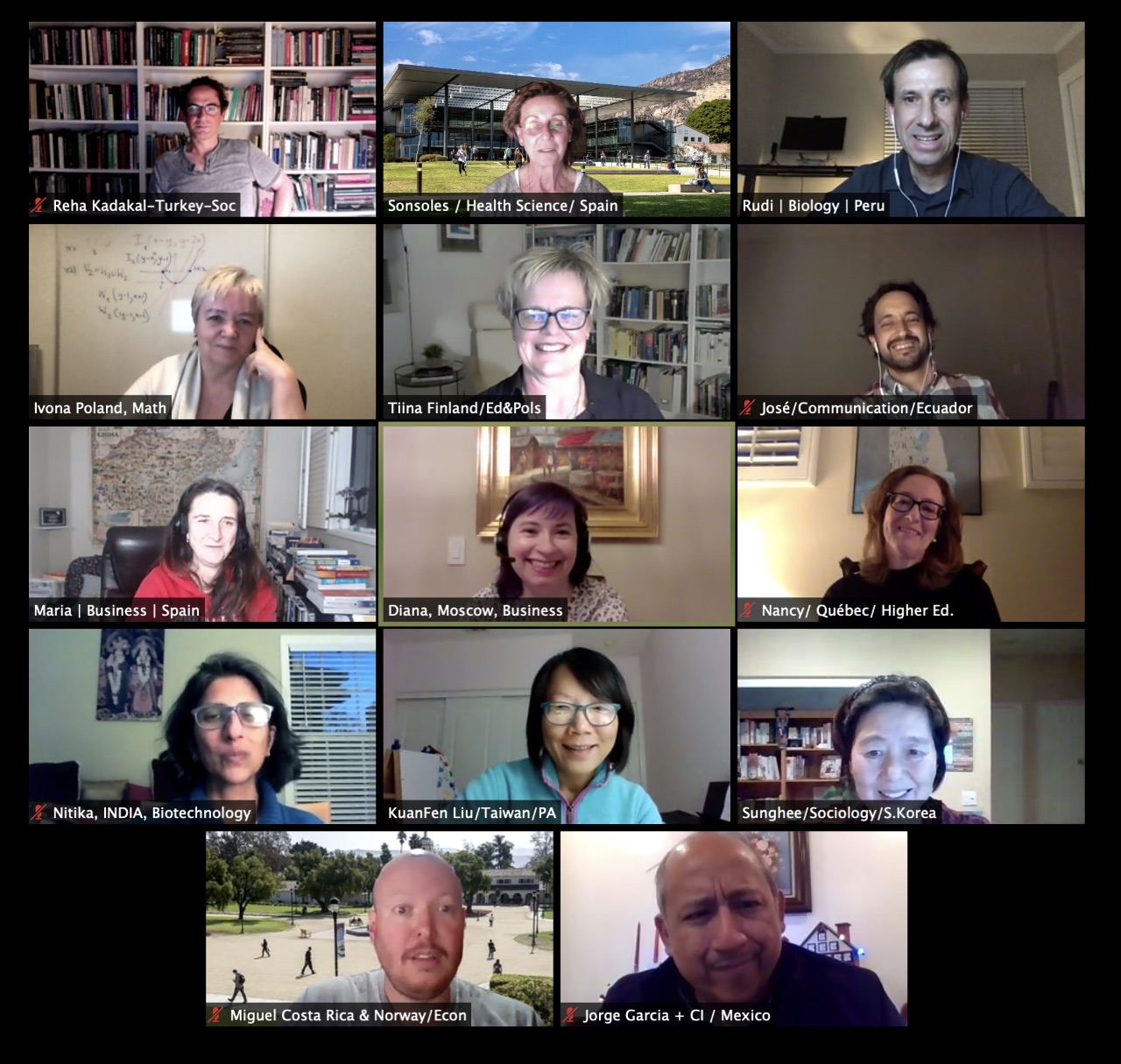 Virtual meeting of IFSA members, December 2020