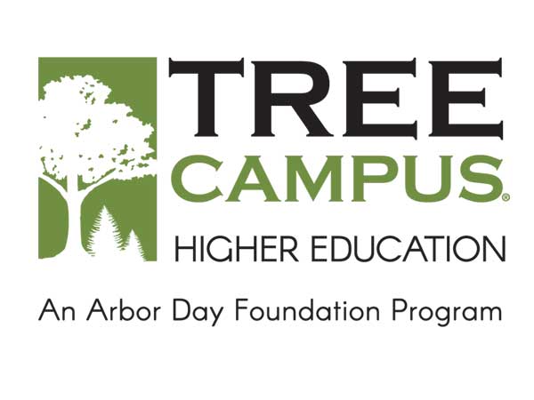 Tree Campus Logo