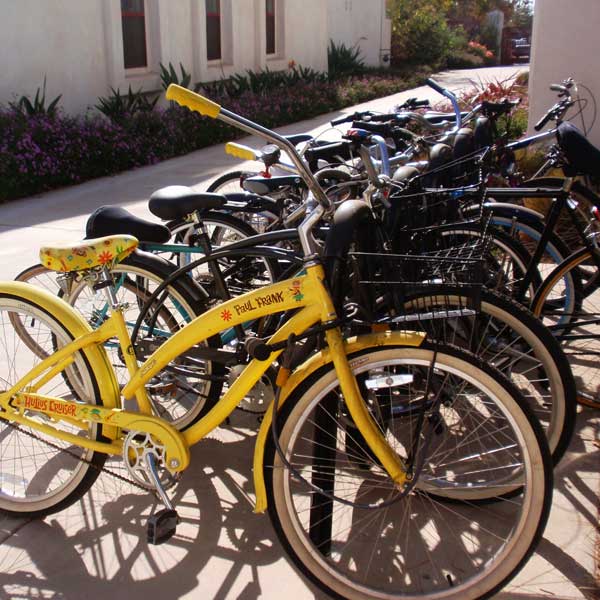 Bicycle Racks