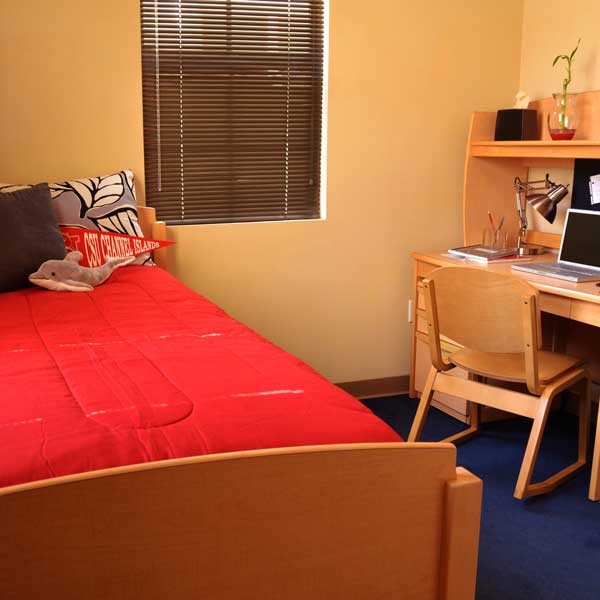 Bed & Desk