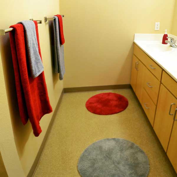 Vanity Area - Separate from Toilet & Shower
