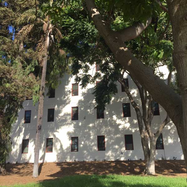 Santa Rosa Village - Greenery near K Building
