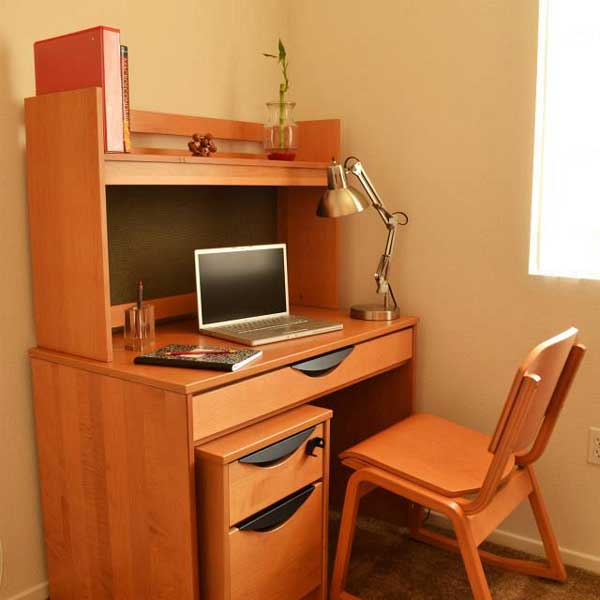 Desk, Bookshelf, & Filing Cabinet Area