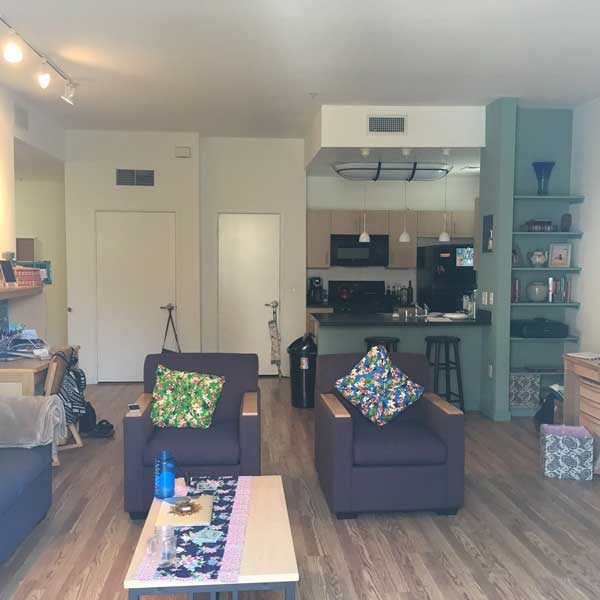 One-Bedroom Living Area & Kitchen
