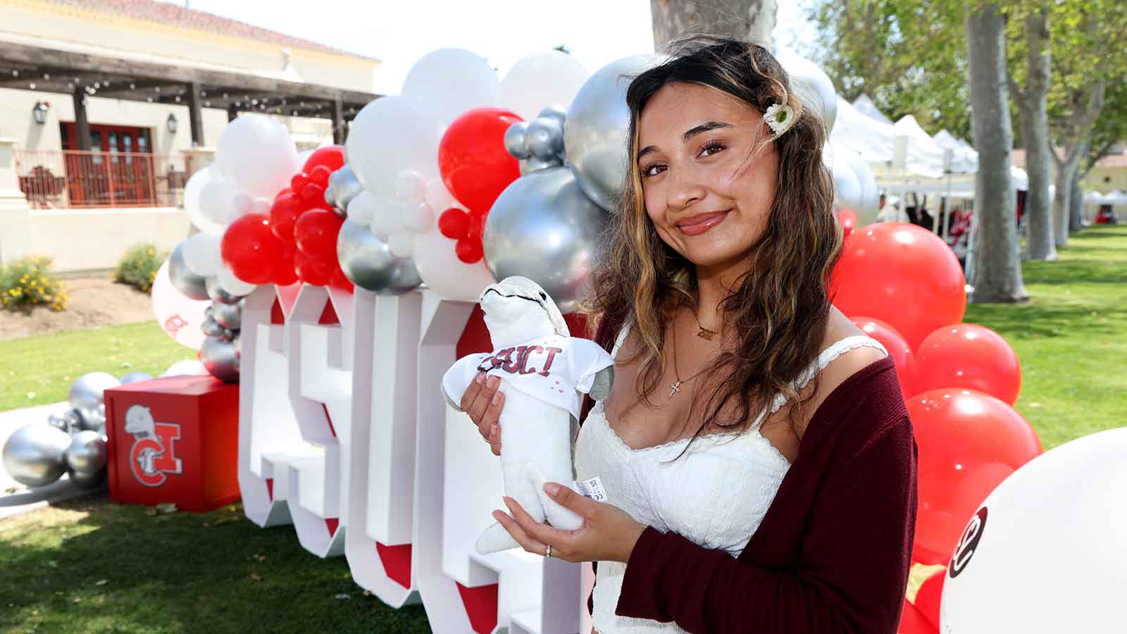 Admitted Dolphin Day
