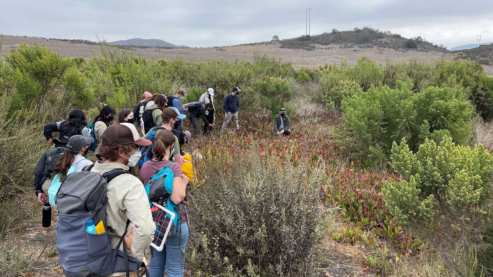 ESRM students will study impacts on local open space