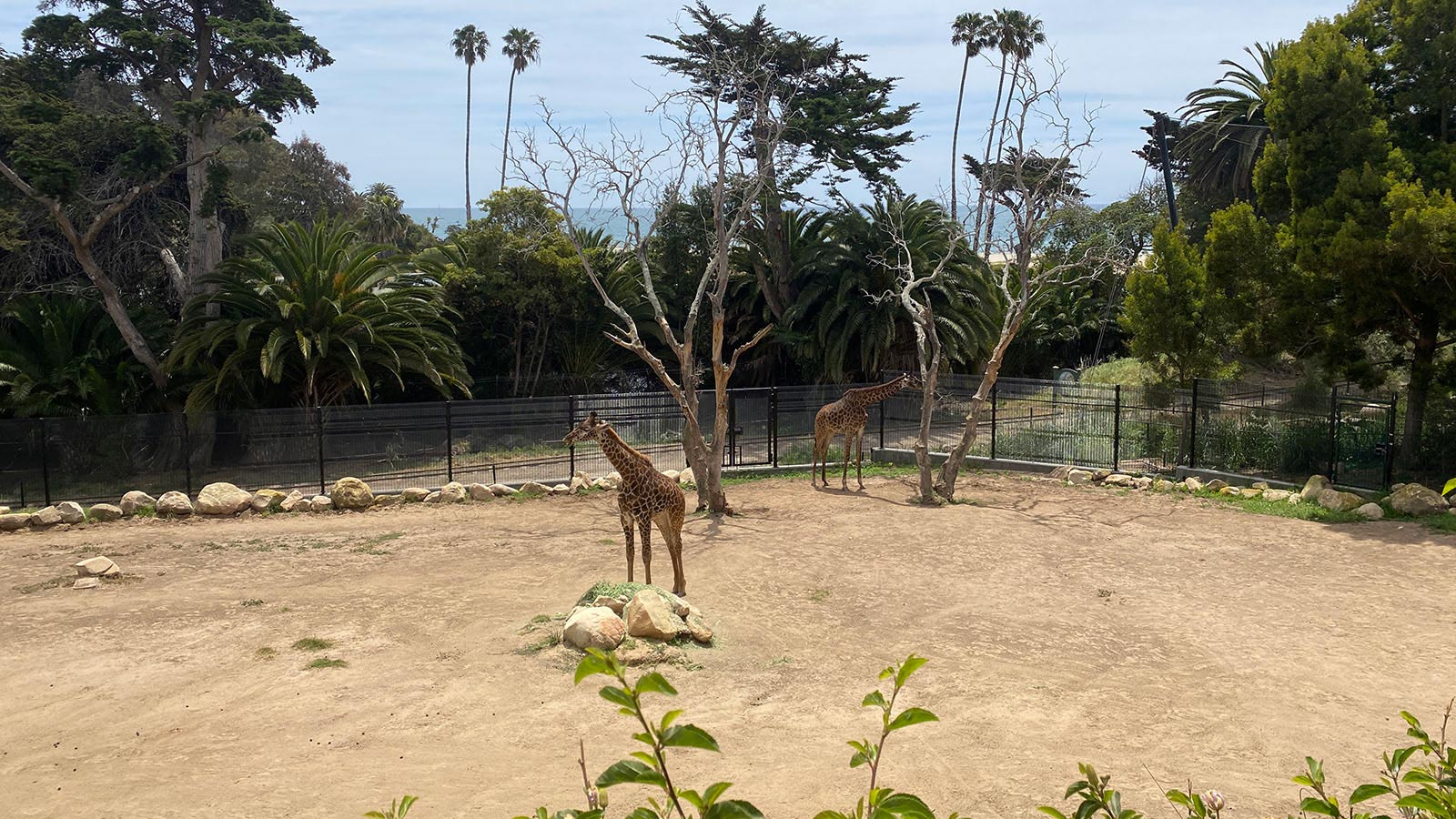CSUCI and Santa Barbara Zoo launch educational partnership and campus conservation center