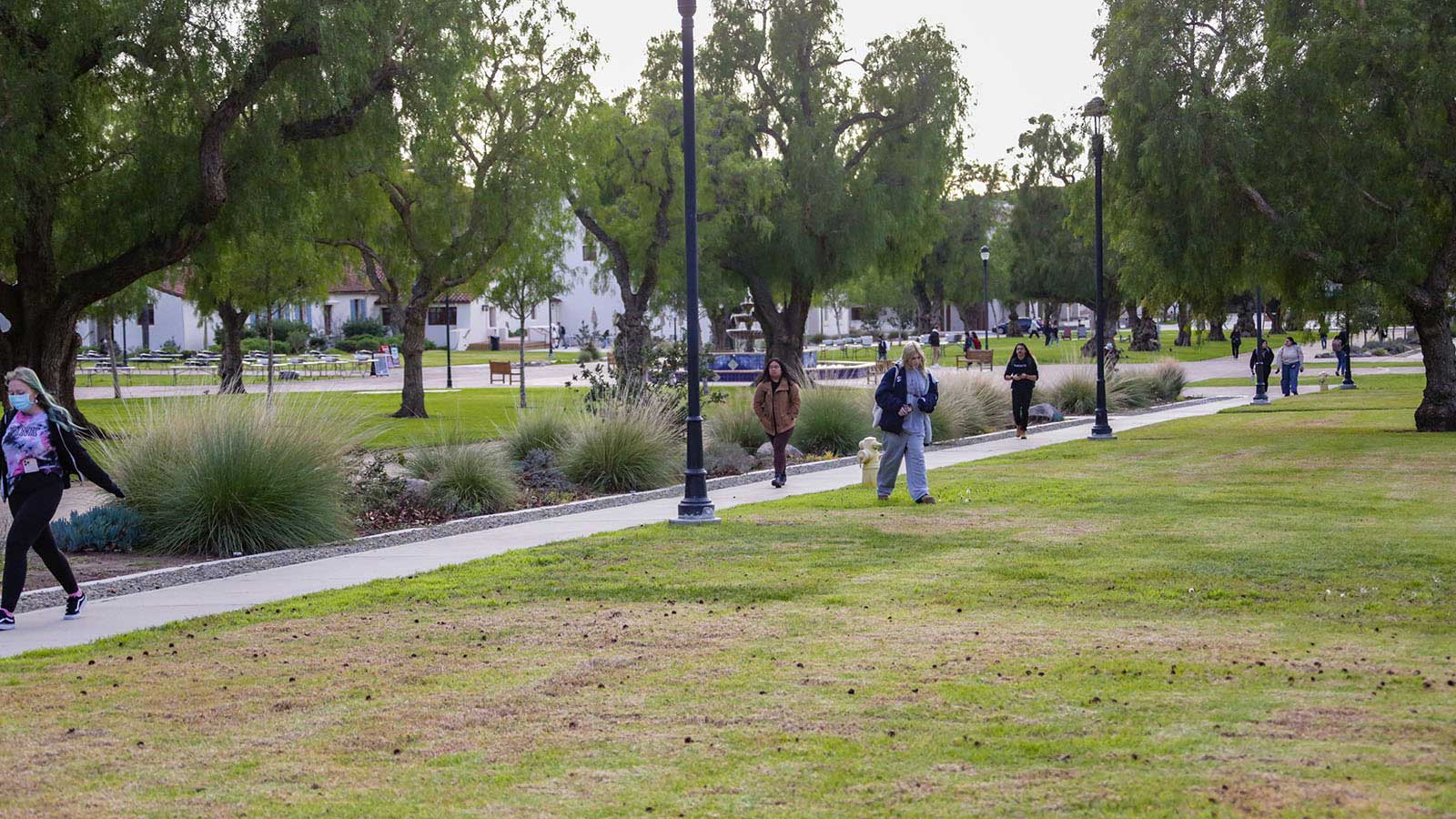 Group of students walking through central mall on campus