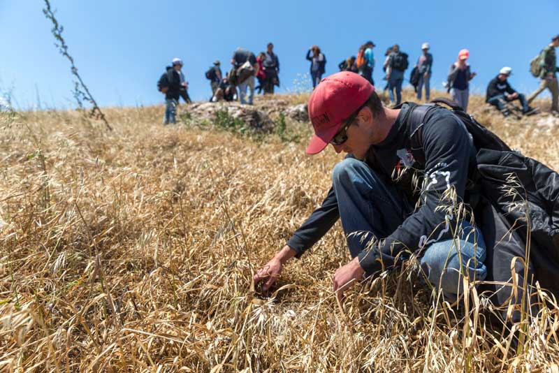 Student in a red hat and navy blue long sleeve reseacrhing in a field of grass with student in the background