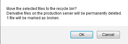 Confirmation box saying deleting this file will create a broken link.