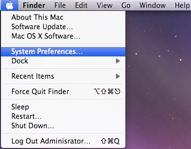 Figure 1: Selecting System Preferences