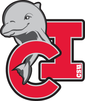 spirit logo