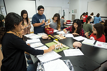 CI Health Sciences students