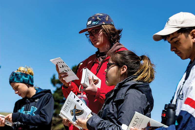 Students identify birds as part of their population biology coursework.