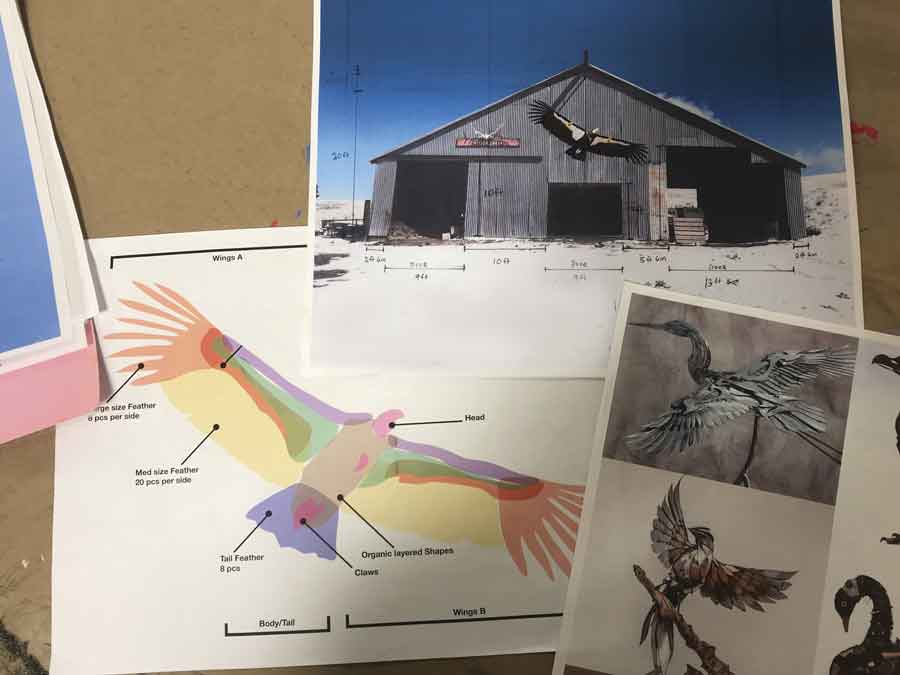 The studentsʼ research photos and  schematic drawings for the condor project.  The sculpture will be mounted on the refugeʼs  barn gable and will be visible from the main  road. They are planning to have it installed  during the spring of 2020. 