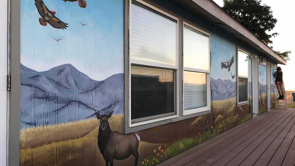 View Video: Condor Bunkhouse Mural