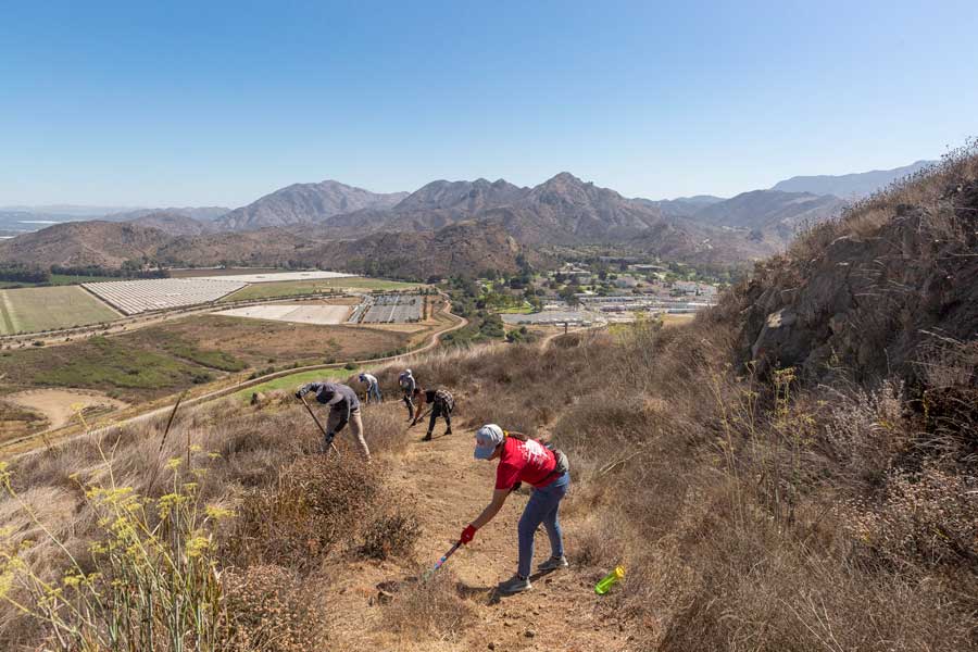 Mountain Day of Service