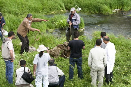 The inset shows our team working with local villagers to rescue a crippled brown bear who had become trapped within a slippery ravine after being hit by a car