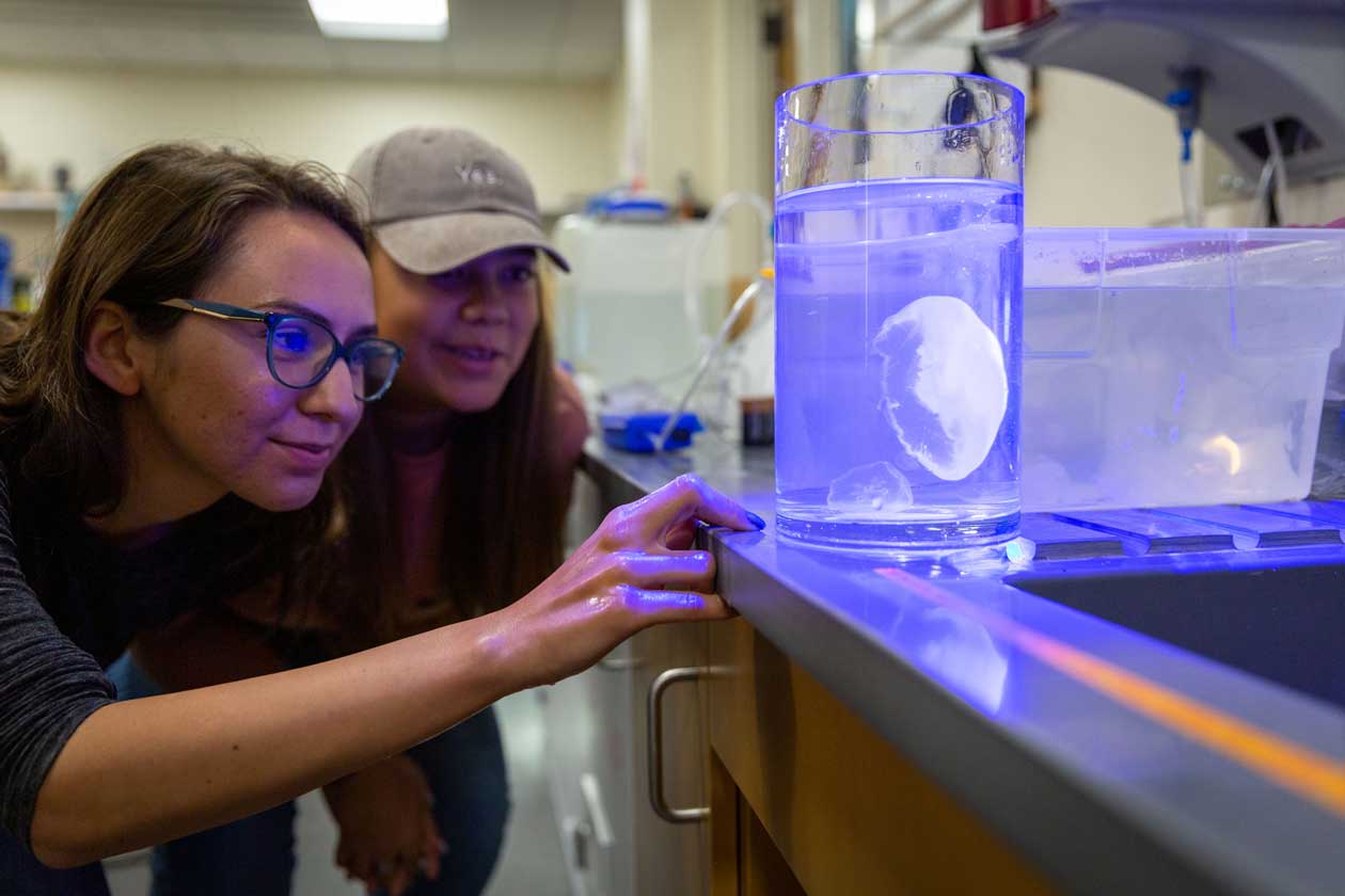 Left to Right: ESRM students Ashlee Phelps and Julie McHorney