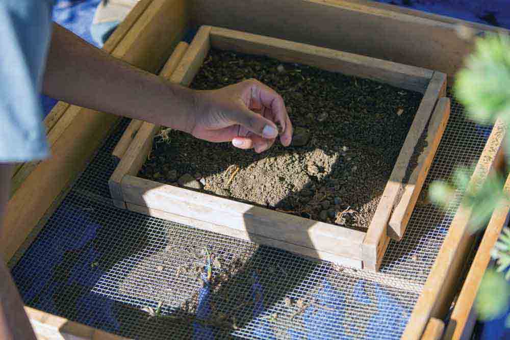 A student searches through soil for artifacts or evidence of human activities.