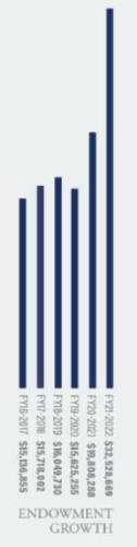 Endowment growth chart