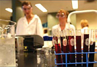 different test tubes on table of laboratory