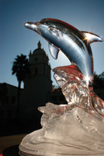 dolphin fountain in middle campus.